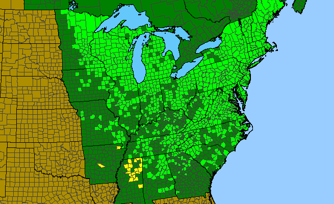 The range of Chelone glabra